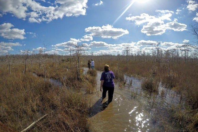 Everglades Tour w/ Biologist Led WET walk + 2 Boat Trips + Lunch! - The wet walk through Big Cypress