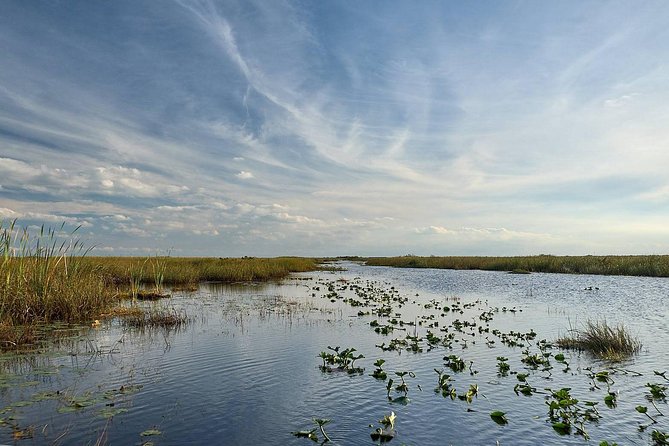 Everglades Tour w/ Biologist Led WET walk + 2 Boat Trips + Lunch! - A time-capsule store and the Ten Thousand Islands
