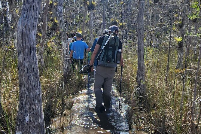 Everglades Tour w/ Biologist Led WET walk + 2 Boat Trips + Lunch! - What the guide adds