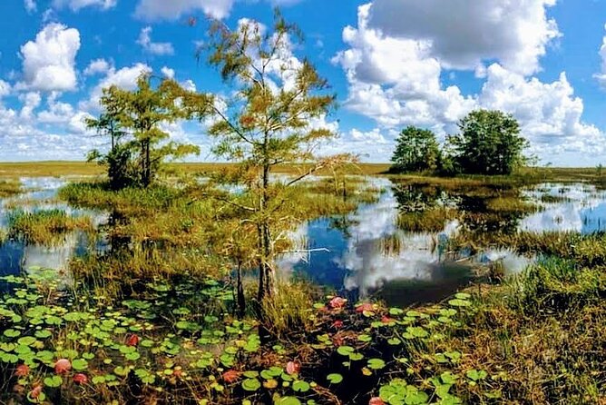 Everglades Tour w/ Biologist Led WET walk + 2 Boat Trips + Lunch! - Making the $389 price worthwhile