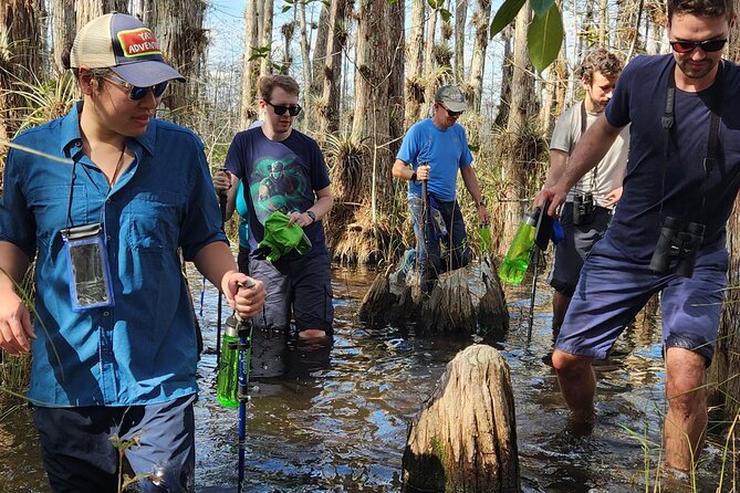 Everglades Tour w/ Biologist Led WET walk + 2 Boat Trips + Lunch! - Loop Road and the big gators
