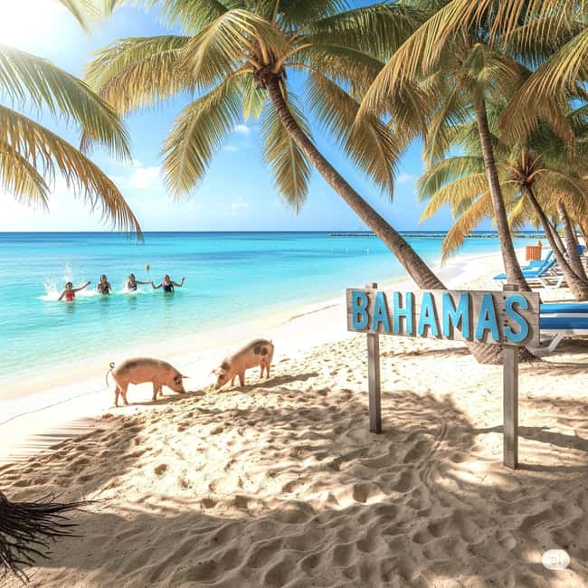 From Miami: Bimini or Grand Bahama Day Trip by Ferry - Making your island hours count