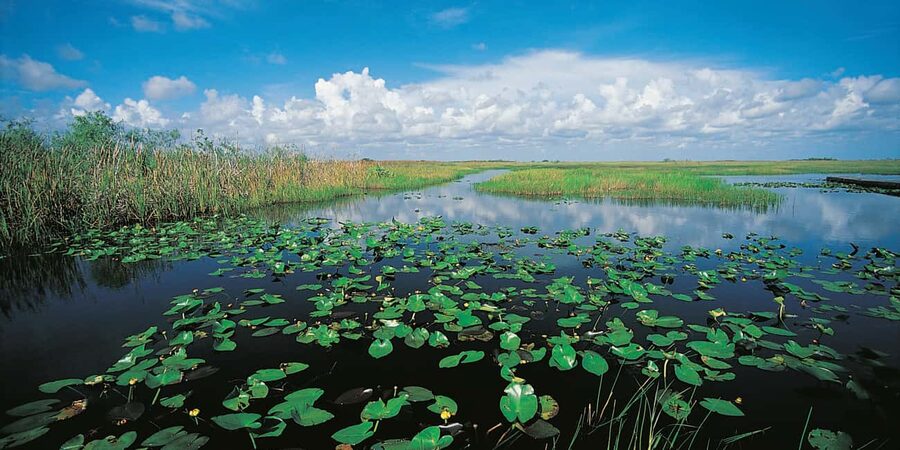 From Miami: Everglades Airboat Alligator Tour with Transfer - FAQ