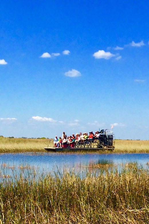 From Miami: Everglades Airboat Alligator Tour with Transfer - The airboat ride across sawgrass
