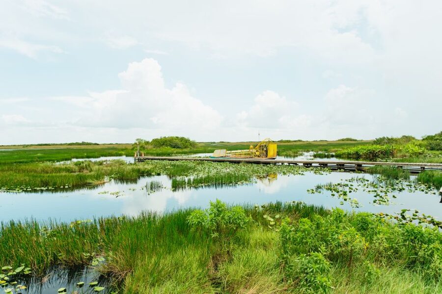 From Miami: Everglades Airboat Ride and Nature Walk - Start with the Everglades, not just the airboat