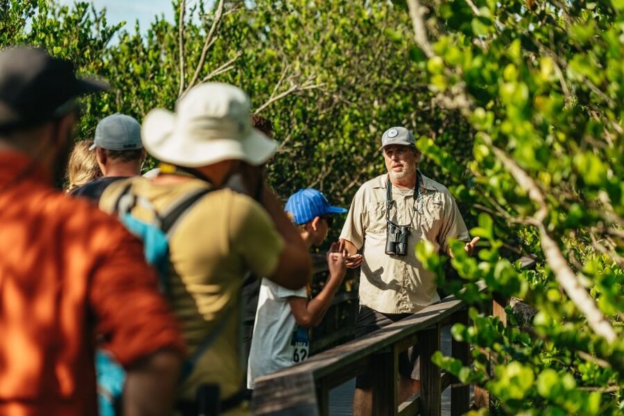 From Miami: Everglades Airboat Ride and Nature Walk - Walk a tropical hardwood hammock