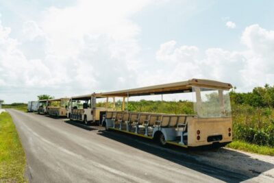 Everglades Airboat Ride and Nature Walk