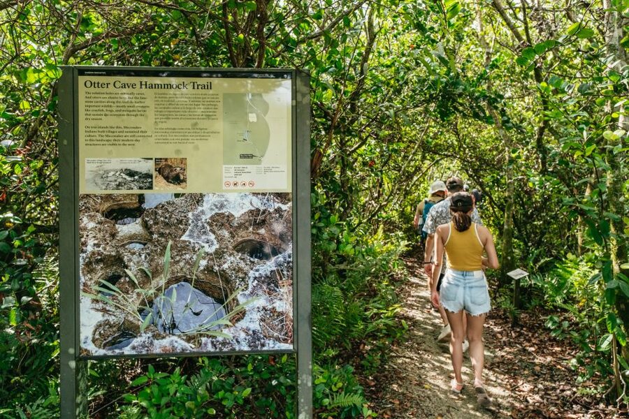 From Miami: Everglades Airboat Ride and Nature Walk - Food, gear and comfort on the day