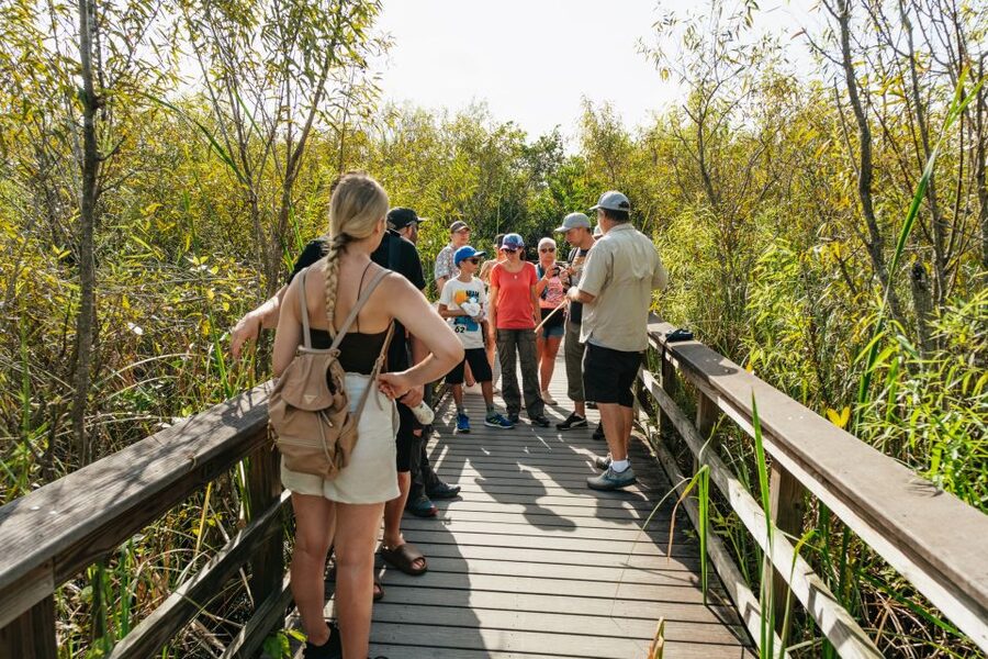 From Miami: Everglades Airboat Ride and Nature Walk - Who will enjoy this outing most