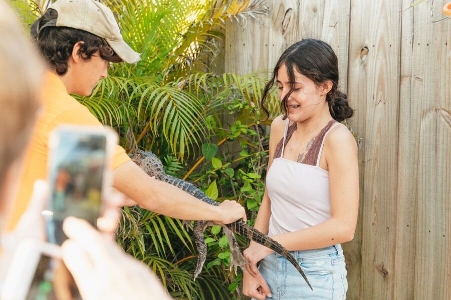 From Miami: Everglades Airboat, Wildlife Show & Bus Transfer - The Everglades in five key points