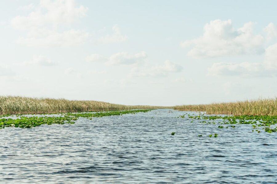 From Miami: Everglades Airboat, Wildlife Show & Bus Transfer - Five hours, with little room to linger