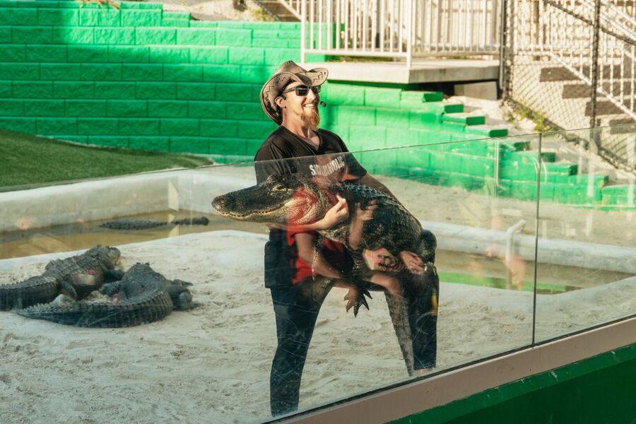 From Miami: Everglades Airboat, Wildlife Show & Bus Transfer - Who will enjoy this Miami outing