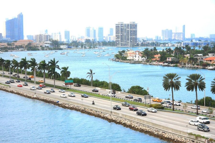 From Miami: Everglades Wildlife Show, Airboat & Bus Transfer - The alligator show and time to explore
