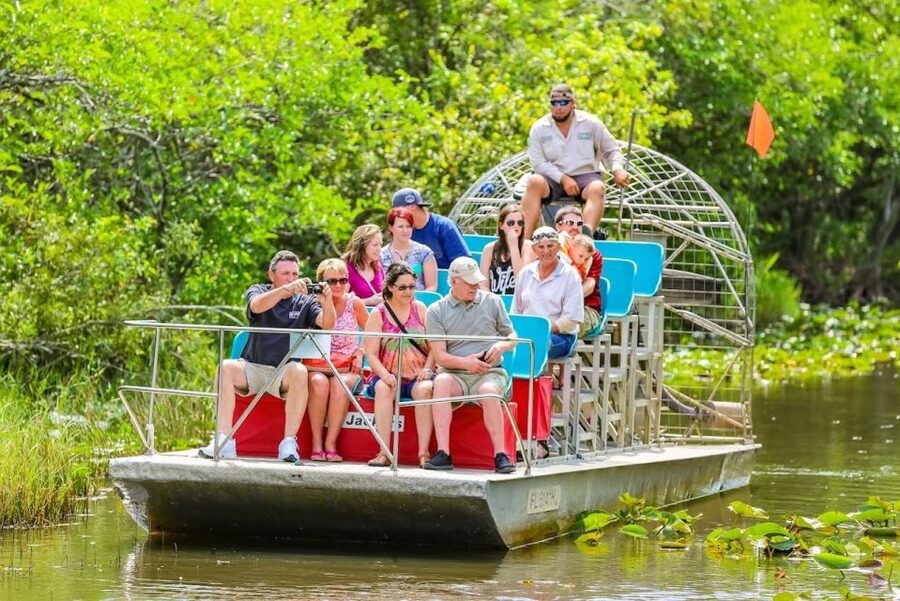 From Miami: Everglades Wildlife Show, Airboat & Bus Transfer - Is $40 good value?