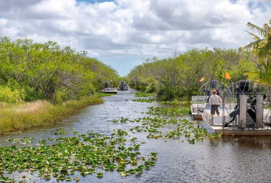 From Miami: Everglades Wildlife Show, Airboat & Bus Transfer - Who should book this tour?