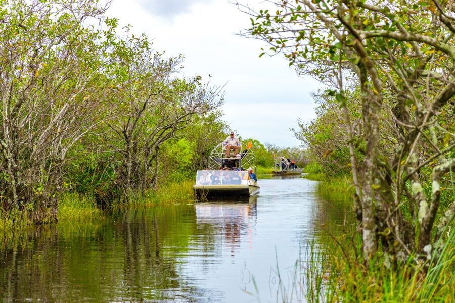 From Miami: Everglades Wildlife Show, Airboat & Bus Transfer - FAQ