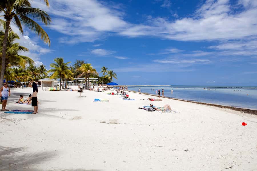 From Miami: Key West Day Tour by Motor Coach Bus - Should you book this Key West tour?