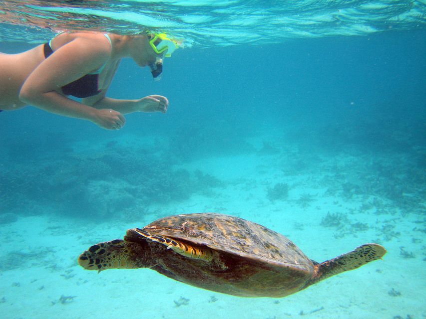 From Miami: Key West Day Trip - The long ride is part of the Key West day