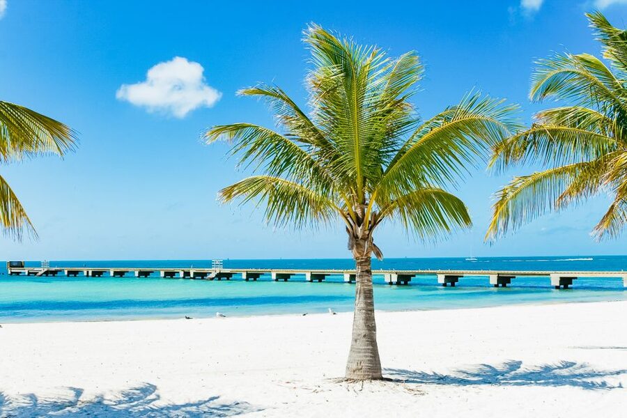 From Miami: Key West Day Trip - What the $75 fare does and does not buy