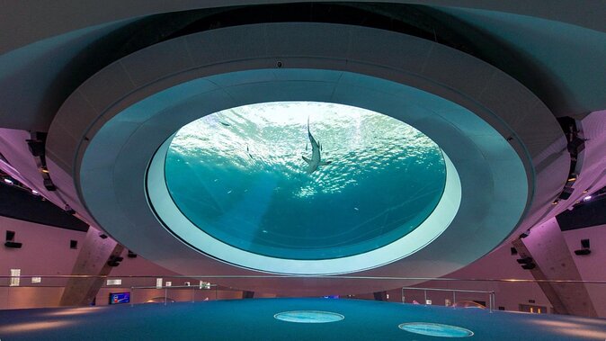 Frost Science Museum Admission Tickets - At a glance