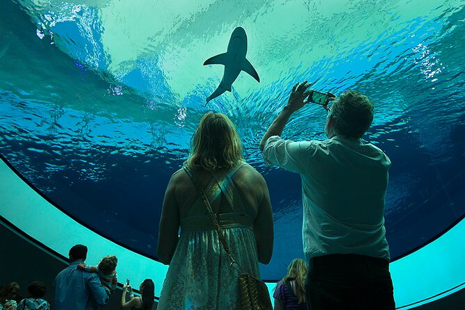 Frost Science Museum Admission Tickets - Make the planetarium show part of the plan