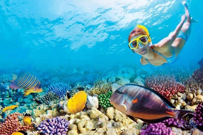 Full-Day Key West Tour and Coral Reef Snorkeling with Open Bar - The Miami-to-Key West ride takes patience