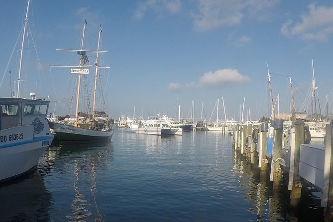 Full-Day Key West Tour and Coral Reef Snorkeling with Open Bar - Should you book it?