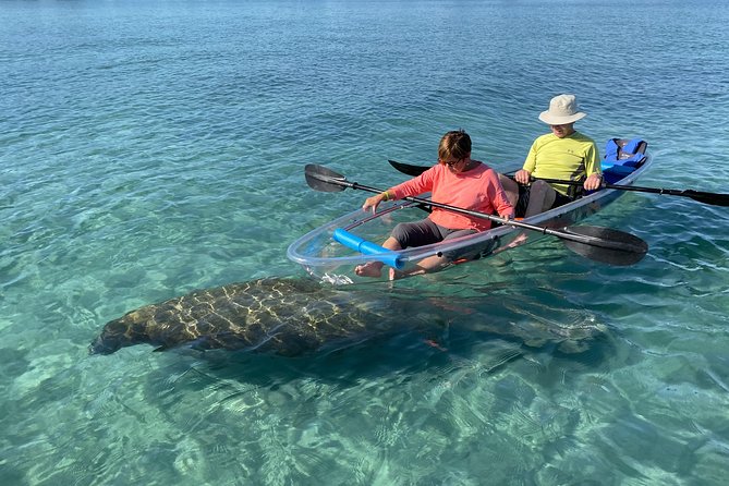 Guided Clear Kayak Eco-Tour of Jupiter - What makes this Jupiter paddle worth considering