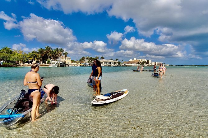 Guided Clear Kayak Eco-Tour of Jupiter - Starting at Jupiter Inlet Lighthouse