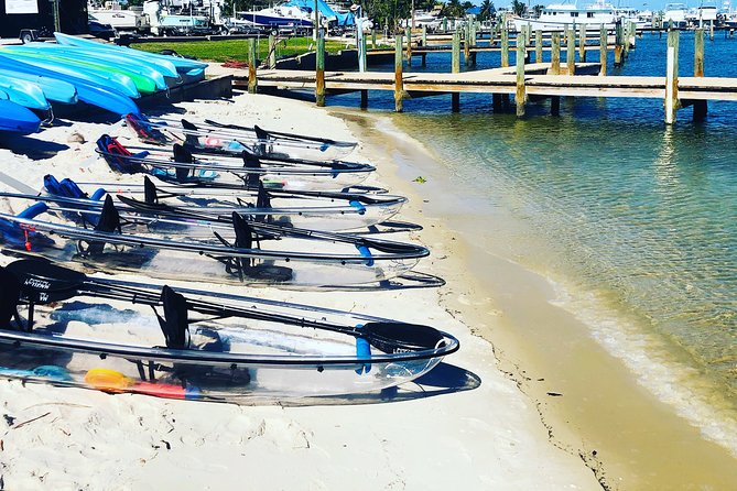 Guided Clear Kayak Eco-Tour of Jupiter - Wildlife is the bonus, not a guarantee
