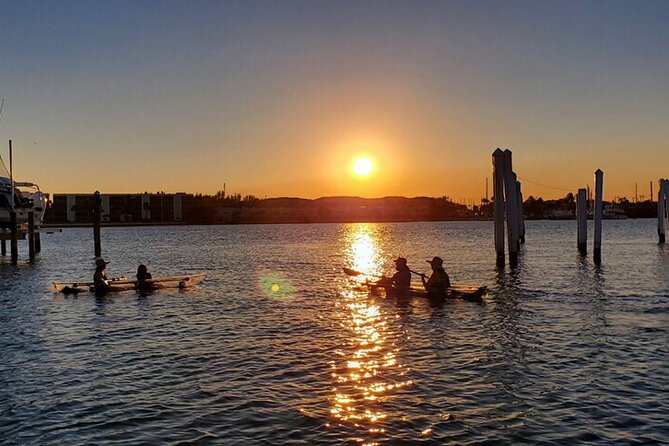 Guided Clear Kayak Eco-Tour of Jupiter - What to bring and know before you go