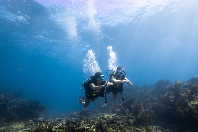 Guided Shallow 2 Tank Dive Trip for CERTIFIED SCUBA DIVERS ONLY! - Who Should Choose This Trip