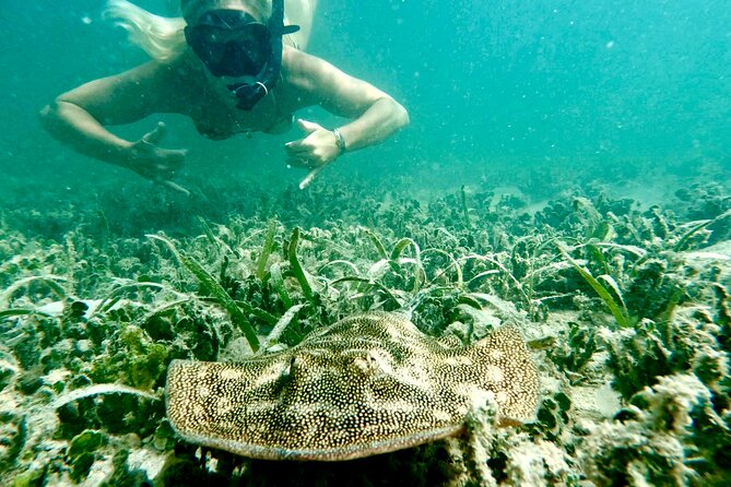 Guided Snorkel Experience, Free Videos in West Palm Beach - A shore-based start at Phil Foster Park