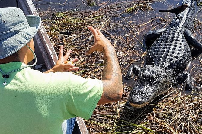 Half-day Everglades National Park Tour and 1-Hour Air Boat Ride - What the nature walk adds