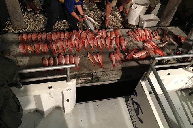Half-Day Fishing Trip in Fort Lauderdale - Getting started with rods, bait and crew help