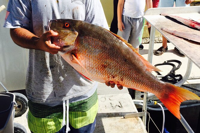 Half-Day Fishing Trip in Fort Lauderdale - Families, beginners and experienced anglers
