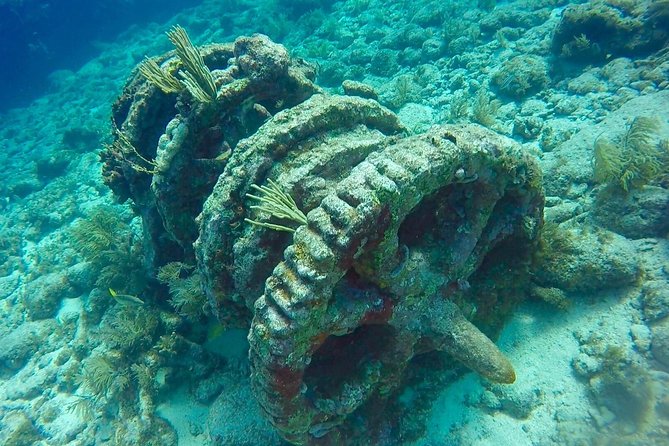Half Day Scuba Diving Trip in the Florida Keys - The catamaran makes the trip