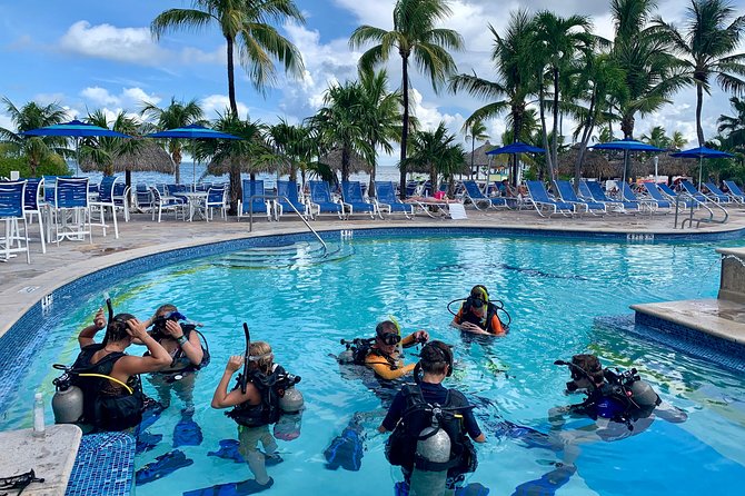 Half Day Scuba Diving Trip in the Florida Keys - A crew that sets the tone