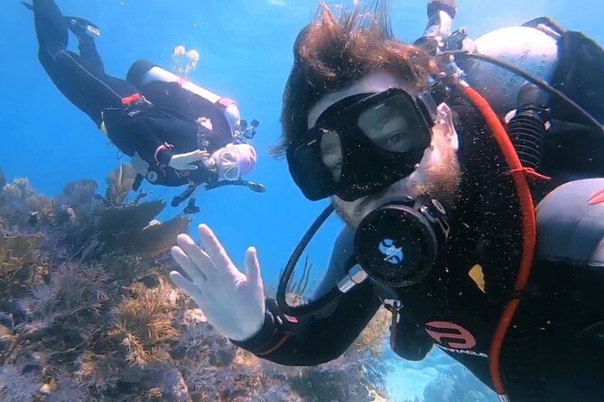 Half-Day Small-Group 2-Tank Scuba Dive in Key Largo (CERTIFIED DIVERS ONLY) - What you might see beneath the surface