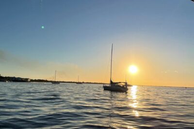 Key Largo Bay Dolphin Sunset Tour