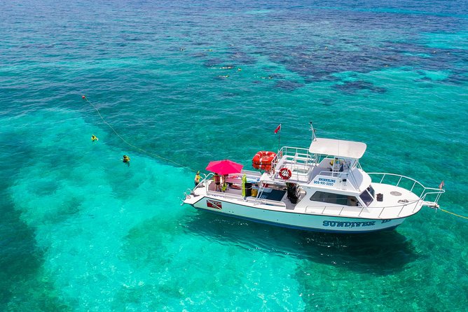 Key Largo Snorkeling Tour - rental mask, fins and vest INCLUDED - A beginner-friendly way to reach Key Largo’s reefs