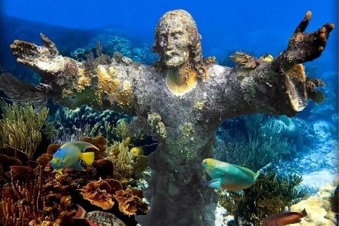 Key Largo Snorkeling Trips & Sandbar Tours - From Key Largo Harbor Marina to the water