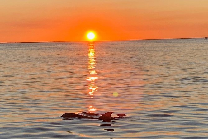Key Largo Sunset Cruise - Key points before you book