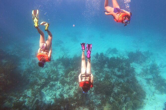 Key Largo Two Reef Snorkel Tour - All Snorkel Equipment Included! - Christ of the Abyss and the Reef Stops