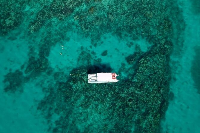 Key Largo Two Reef Snorkel Tour - All Snorkel Equipment Included! - Who Should Book This Key Largo Snorkel Trip?