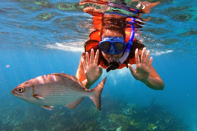 Key Largo Two Reef Snorkel Tour - All Snorkel Equipment Included! - Included Gear, Snacks, and the Small Things to Bring