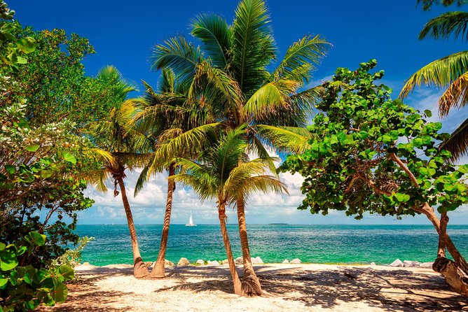 Key West Day Trip from Miami with Activities - Is the $39 price good value?