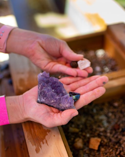 Kissimmee: Boggy Creek Airboat Ride with Optional Meal - Fossil and Gemstone Mining for Hands-On Fun