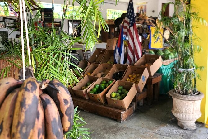 Little Havana: Authentic Food and Culture Walking Tour - What the Price Covers, and What It Doesn’t