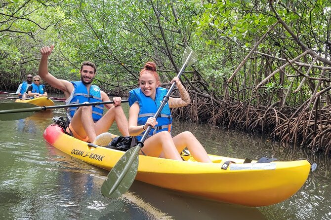 Mangrove Jungle Exploration on SUP/Kayak - Paddling through the mangrove channels